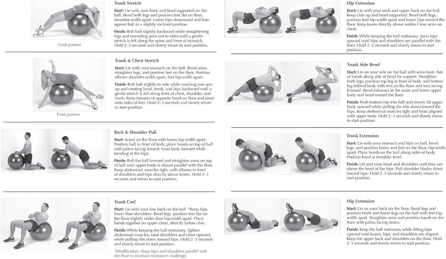 imageSPRI Professional Plus Xercise Balance Balls