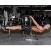 Lebert Fitness Dip Bar Stand – Original Equalizer Total Body Strengthener Pull Up Bar Home Gym Exercise Equipment Dipping Station – Frank Medrano Series, Workout Guide and Online Group – Chrome (XL)