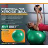 SPRI Professional Plus Xercise / Balance Balls
