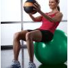 SPRI Professional Plus Xercise / Balance Balls